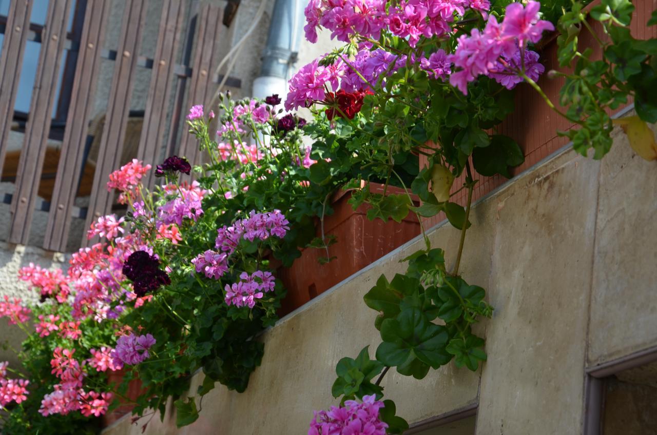 Guest house Rosi Sozopol