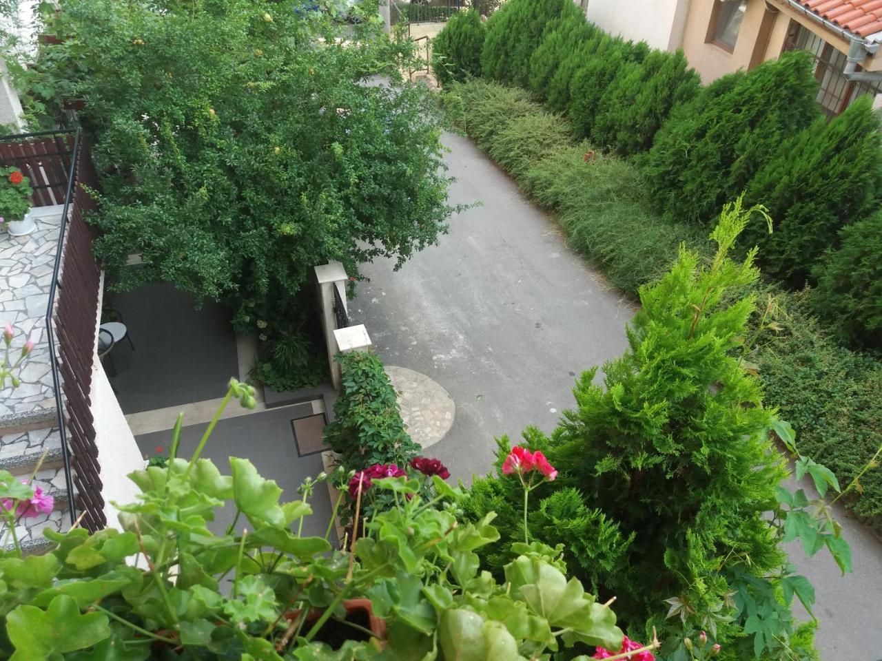 Rosi Sosopol